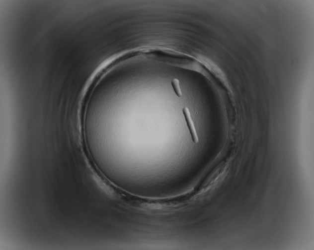 X0000086750792200704131150