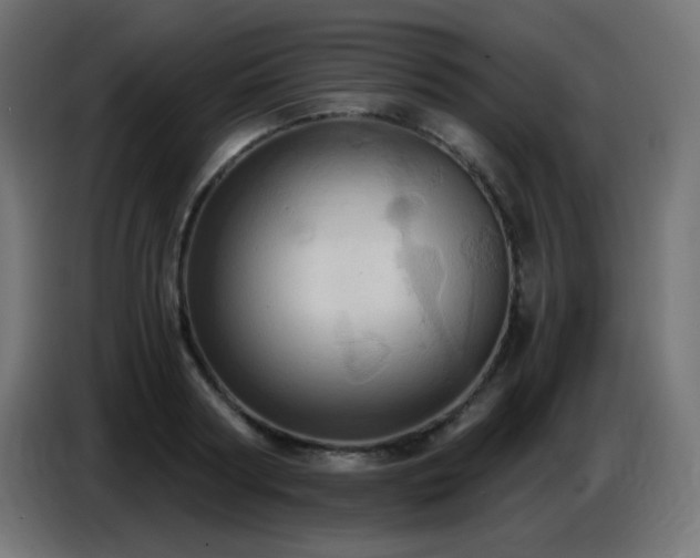 X0000086750794200704131150