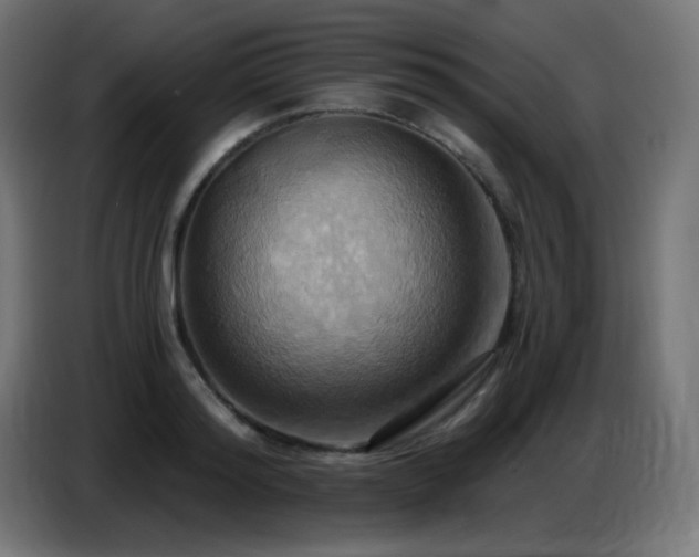 X0000086750796200704131150