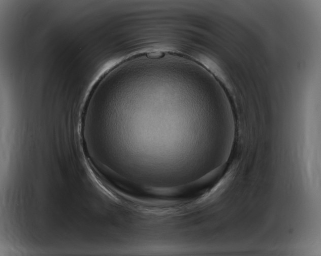 X0000086750797200704131150