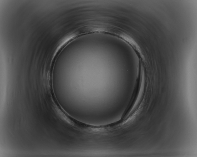X0000086750798200704131150