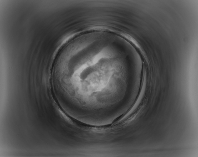 X0000086750799200704131150
