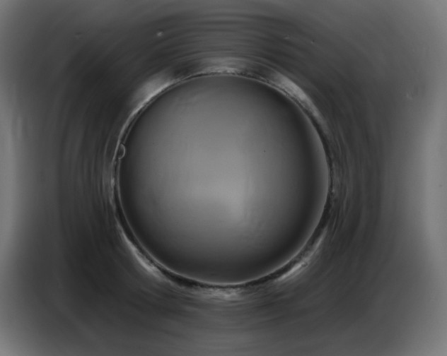 X0000086750802200704131150