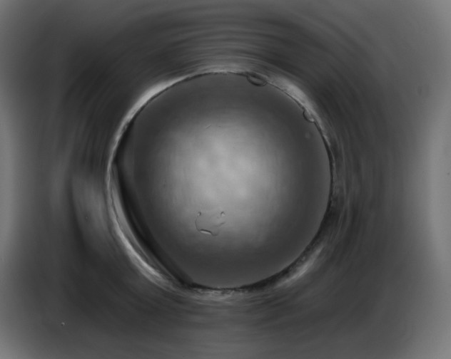 X0000086750803200704131150