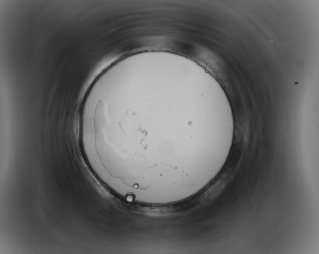 X0000086750804200704131150