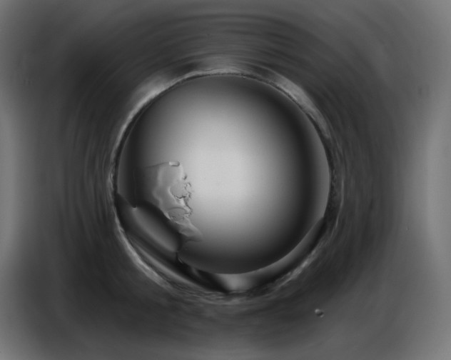 X0000086750805200704131150