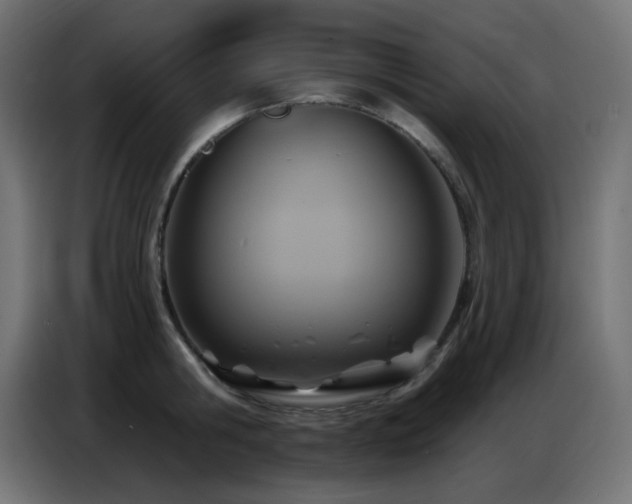 X0000086750806200704131150