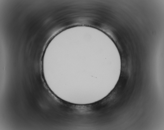 X0000086750807200704131150