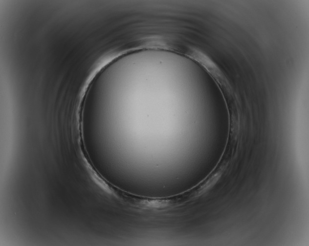 X0000086750808200704131150