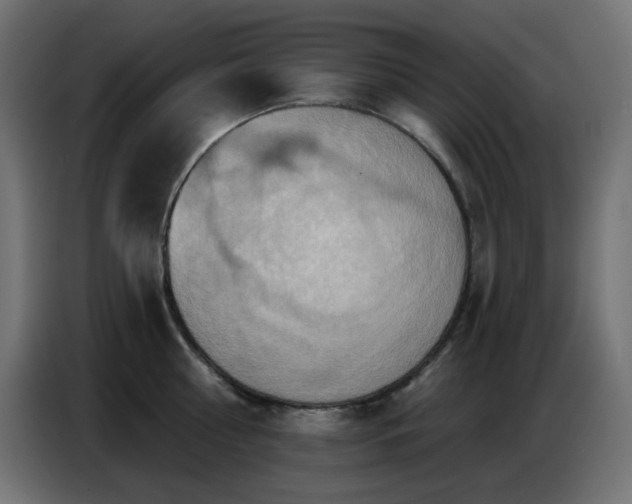 X0000086750810200704131149
