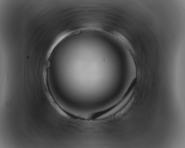 X0000086750812200704131149