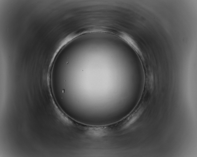 X0000086750813200704131149