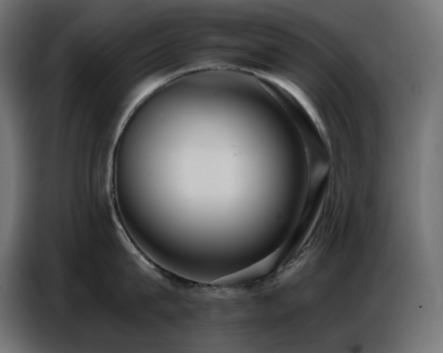 X0000086750815200704131149