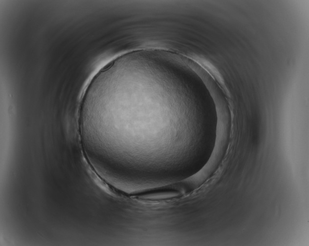 X0000086750816200704131149