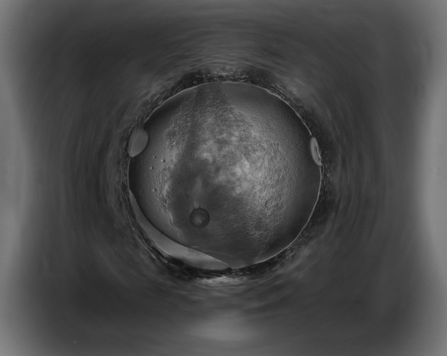 X0000086750817200704131149