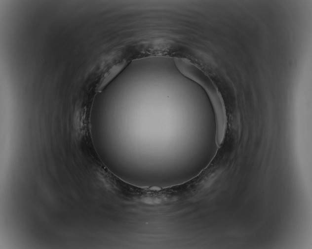 X0000086750818200704131149