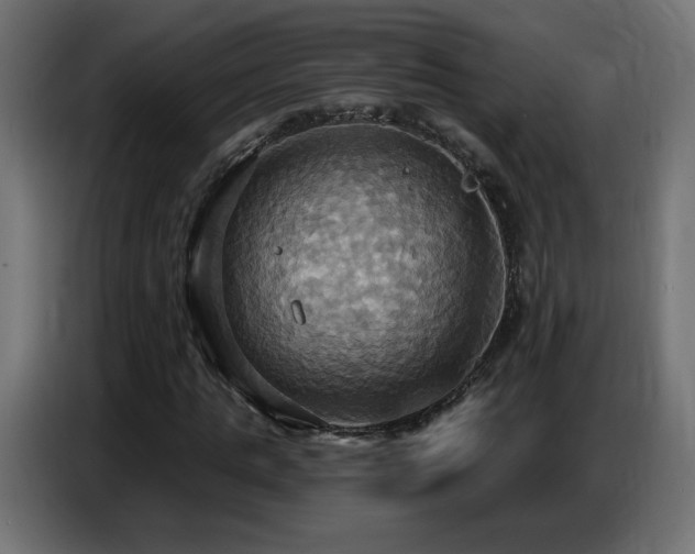 X0000086750821200704131149