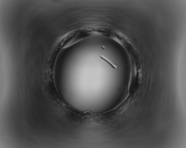 X0000086750822200704131149