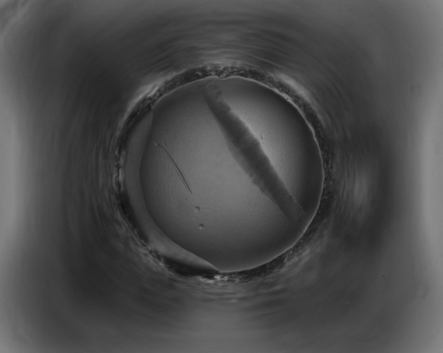 X0000086750823200704131149