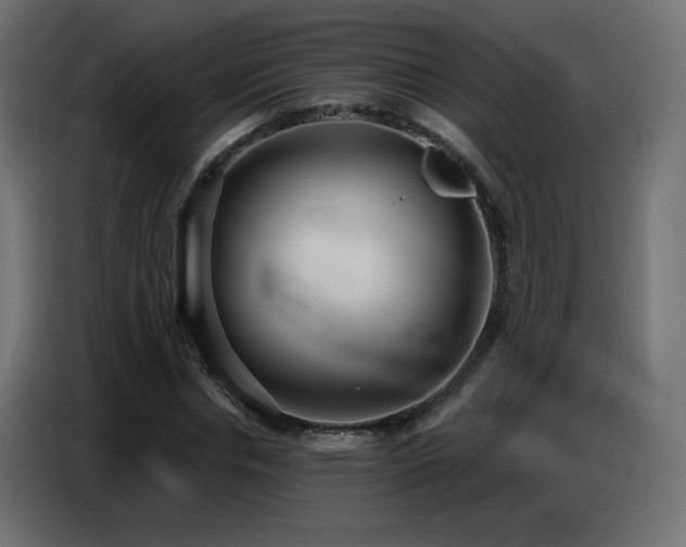 X0000086750826200704131149