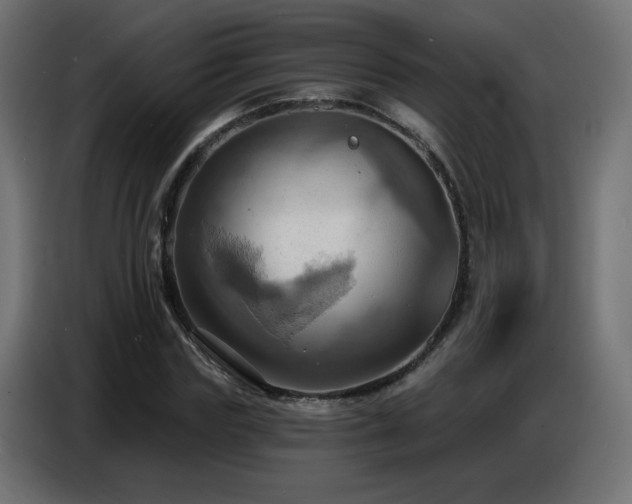 X0000086750827200704131149