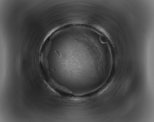 X0000086750829200704131149