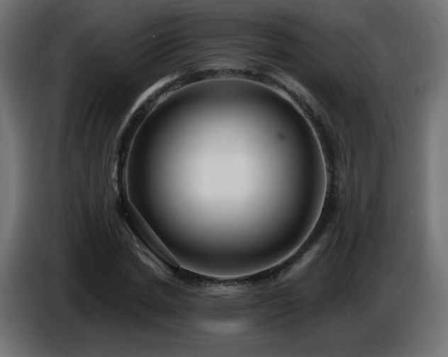 X0000086750830200704131149