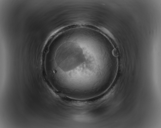X0000086750831200704131149