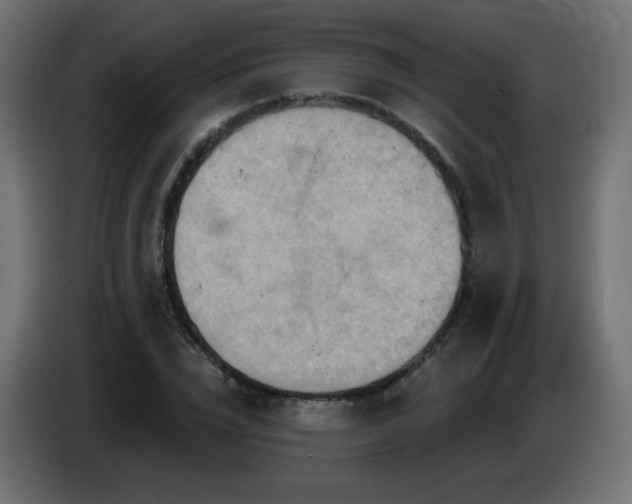 X0000086750832200704131149