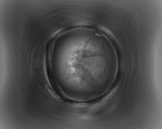 X0000086750833200704131149