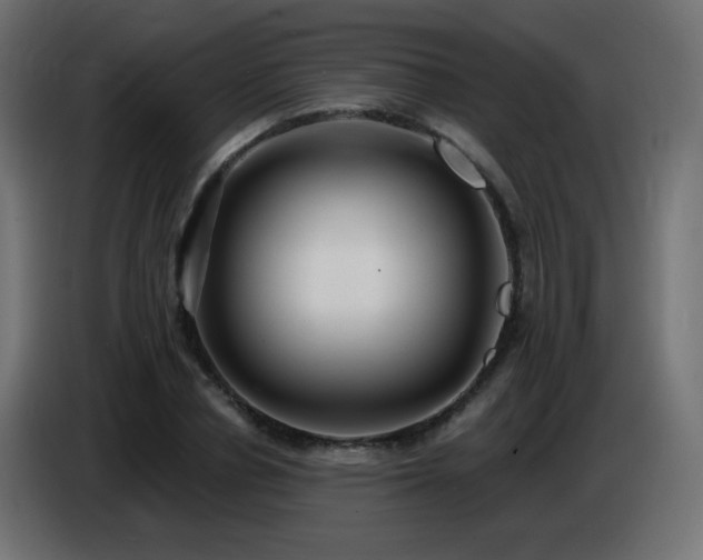 X0000086750834200704131149