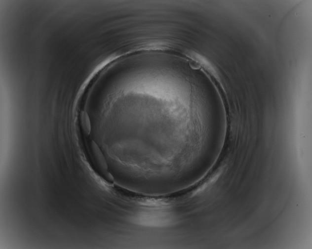 X0000086750835200704131149