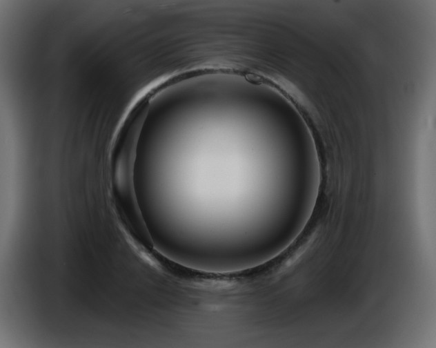X0000086750838200704131149
