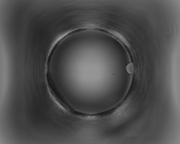 X0000086750839200704131149