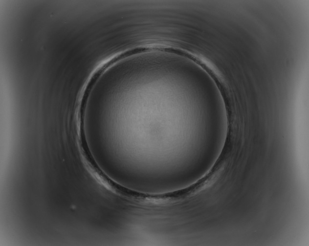 X0000086750840200704131149