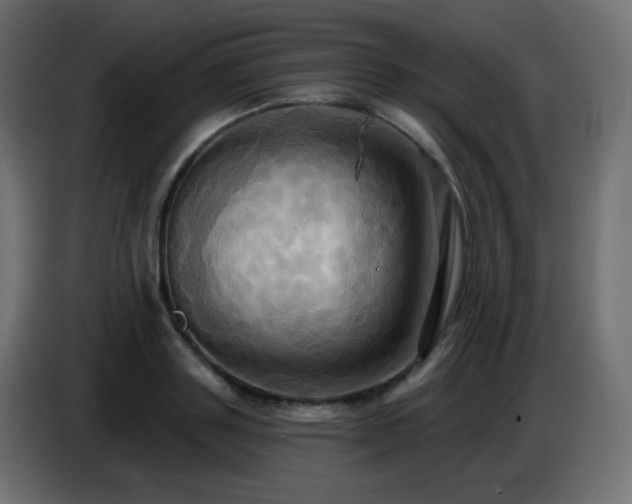 X0000086750843200704131149