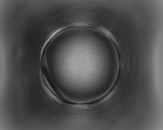 X0000086750844200704131149