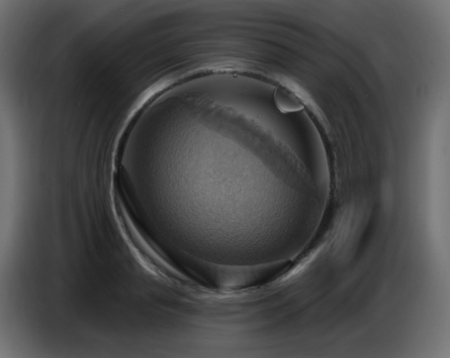 X0000086750845200704131149
