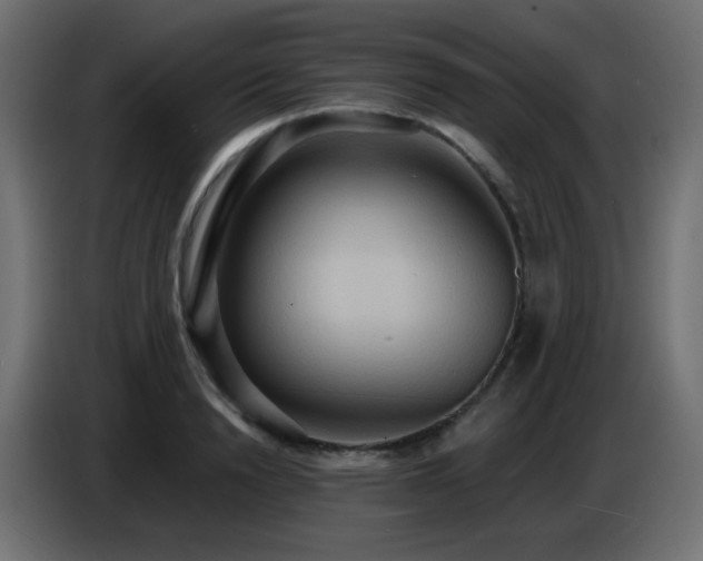 X0000086750846200704131149