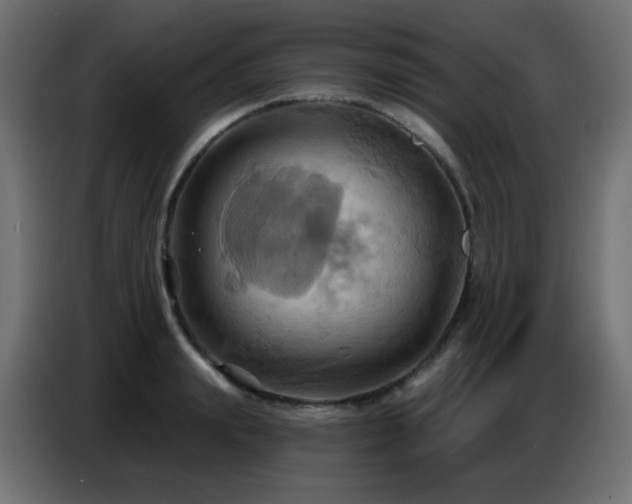 X0000086750847200704131149