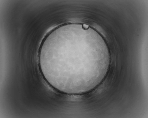 X0000086750848200704131149