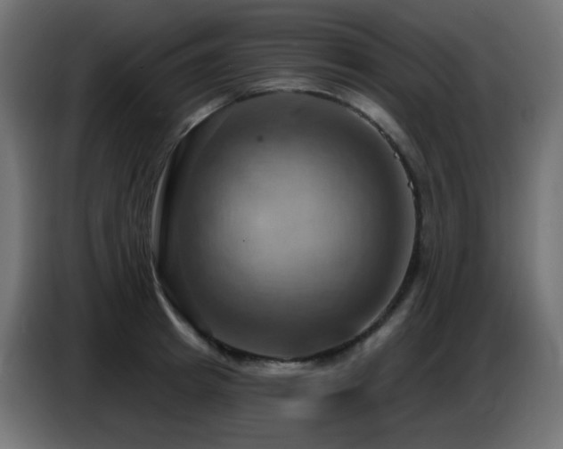 X0000086750849200704131149
