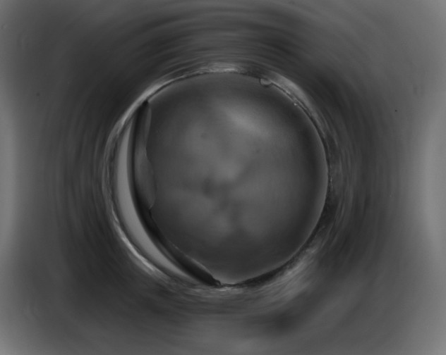 X0000086750851200704131149
