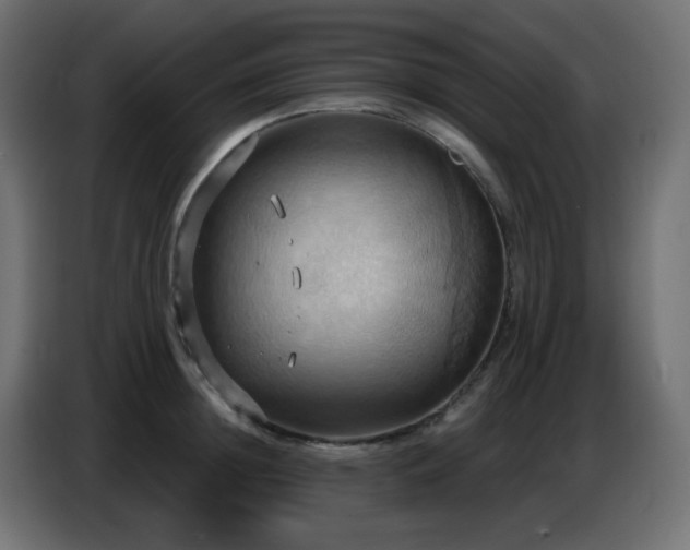 X0000086750852200704131149