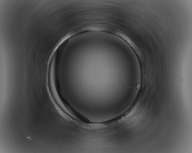X0000086750853200704131149