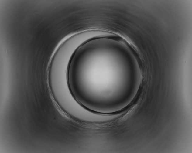 X0000086750854200704131149