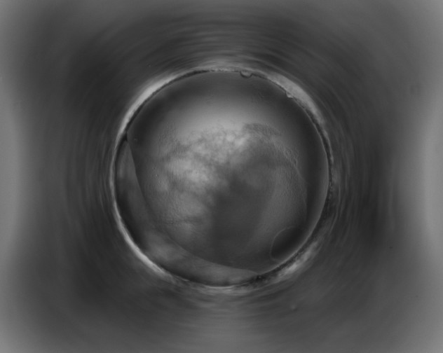X0000086750855200704131149