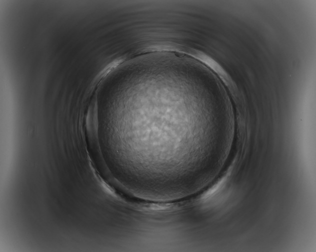 X0000086750857200704131149