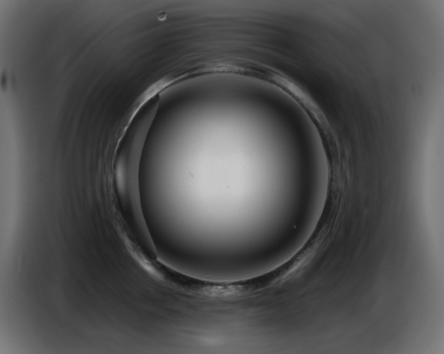 X0000086750858200704131149