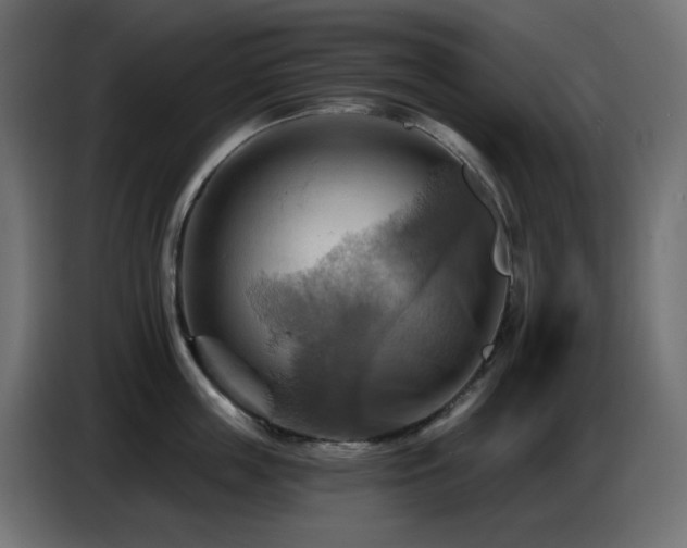 X0000086750859200704131149